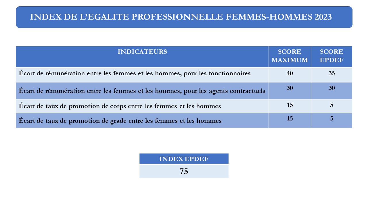 index egalité professionnelle F-H 2023